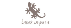 Logo Banak Importa